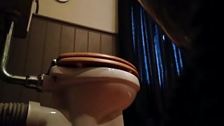 Spycam girlfriends mum toilet 2