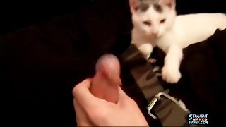 Cute guy plays with his kitten and jerks off